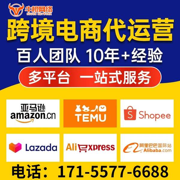萍乡电商代运营