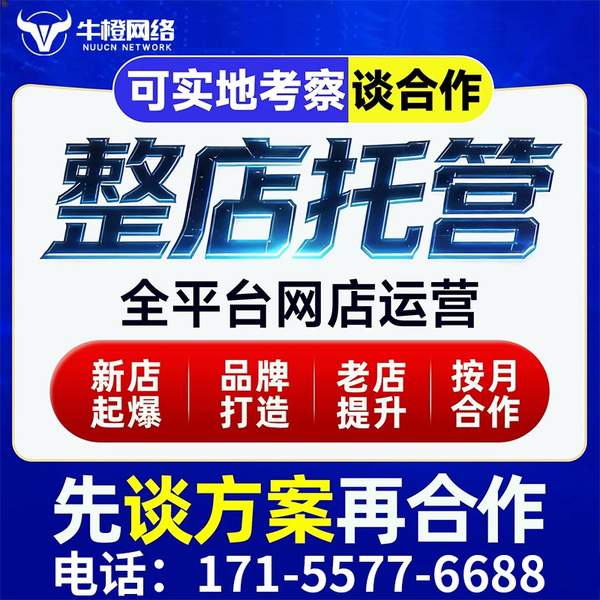 萍乡电商代运营