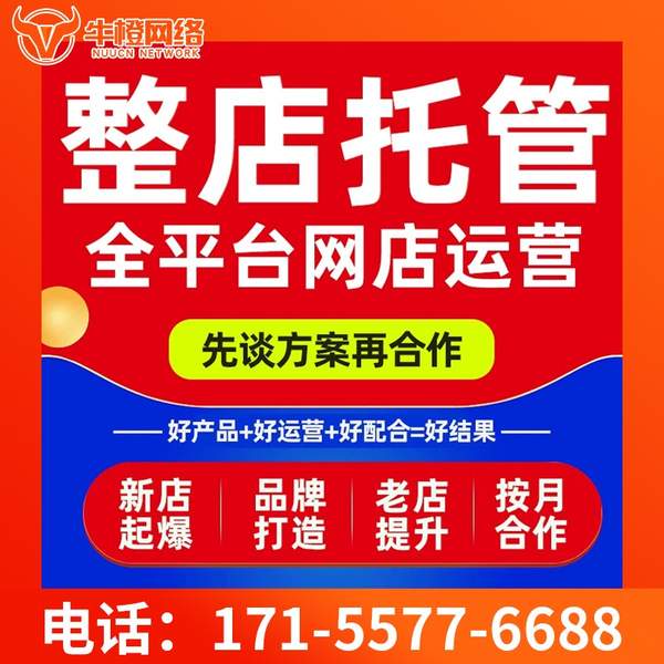 萍乡电商代运营