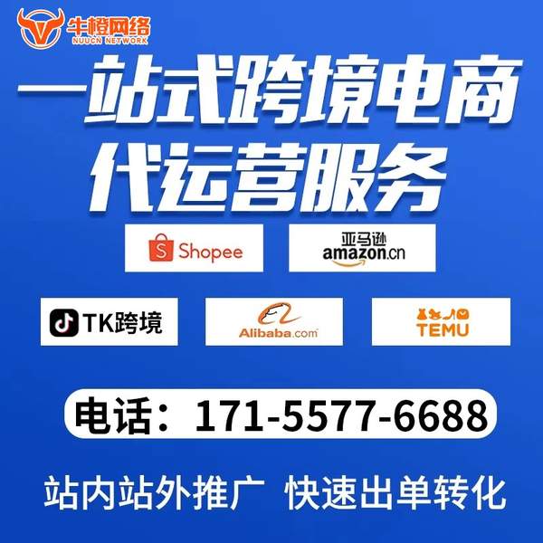 萍乡电商代运营